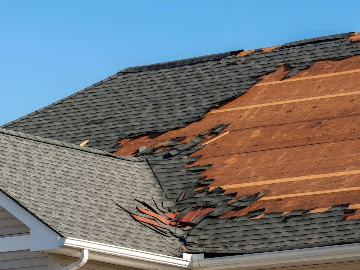 Damaged Shingles and Exposed Plywood After Storm in Frisco Texas