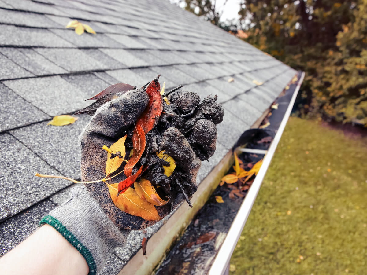 Roofer Cleaning Gutters Clogged with Leaves and Dirt in Frisco Texas