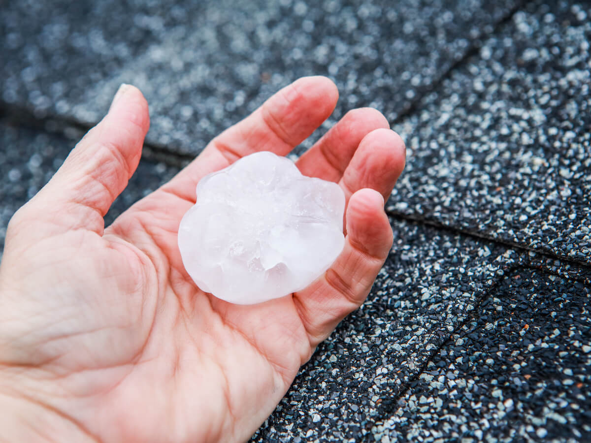 Roofer Holding Golf Ball Size Hail Following Storm in Frisco Texas