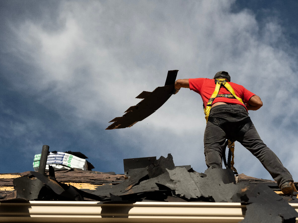 Roofer Removing Damaged Shingles in Frisco Texas