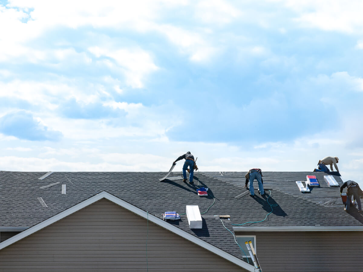 Roofers Installing New Roof in Frisco Texas