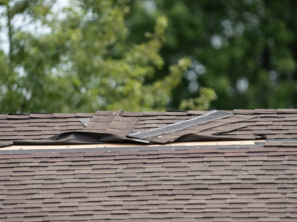 Shingle Damage from High Winds in Frisco Texas
